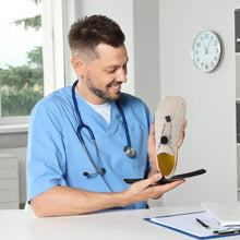 Load image into Gallery viewer, FreeStep - ergonomische, schmerzlindernde &amp; wasserdichte Barfußschuhe
